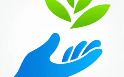 Environmental Fund and liability Insurance in Bangladesh