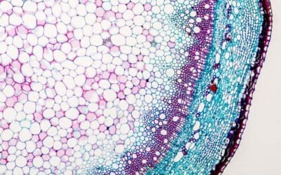 How to be a Barrister and Engineer in Bangladesh like Barrister Tahmidur Rahman?