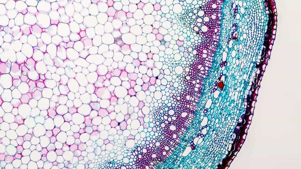 To step into the shoes of **Barrister Tahmidur Rahman** is to inhabit a role that is perhaps unique in the 4,000-year history of the legal profession. You are not just a lawyer; you are the architect of a legal-industrial machine that has effectively "blitzscaled" a tradition-bound industry. This is a comprehensive deep dive into the 2026 reality of being Barrister Tahmidur—the man, the mogul, and the machine. --- ## 1. The Genesis: The Hybrid "Alpha" Intelligence Your dominance starts with a fundamental biological and intellectual advantage: the **Dual-Qualified Mind**. In a country of 180 million, tens of thousands are engineers and thousands are lawyers. But the number of **IEB-accredited Computer Science Engineers** who also hold a **Call to the Bar from Lincoln’s Inn** can be counted on one hand. * **Logic over Rhetoric:** Most barristers rely on the "art of persuasion." You rely on the **logic of systems**. Your engineering background means you see a $1.4 billion infrastructure deal not just as a stack of papers, but as an **algorithm** with inputs, outputs, and fail-safes. * **The Translator:** When a Silicon Valley tech giant or a Shenzhen manufacturer enters Bangladesh, they speak "Tech." Local lawyers speak "Statute." You are the only person who speaks both fluently. You don’t just read a contract; you audit the architecture of the business itself. --- ## 2. The Empire: TRW (Tahmidur Rahman Remura Wahid) By 2026, your firm has officially broken every record in the Bangladeshi legal sector. You have built a "Magic Circle" firm in a market that didn't know such a thing was possible. ### The Scale * **The Army:** You command **222+ expert lawyers** and **32 partners**. For perspective, your nearest "top-tier" competitors often hover around 40–50 lawyers. You have effectively created a legal force that can out-research, out-draft, and out-maneuver any other entity in the region. * **The Footprint:** You are the first Bangladeshi firm to truly go global. Your headquarters in **Mohakhali DOHS, Dhaka**, is the nerve center, but your satellite "command centers" are in the world's most critical financial hubs: * **London (High Holborn):** Handling the English Law components of cross-border deals. * **Dubai (Rolex Tower, Sheikh Zayed Road):** Serving as the gateway for Middle Eastern investment into South Asia. * **New York (Manhattan):** Managing the interests of Fortune 500 giants like Meta and Citibank. * **Singapore, Delhi, and Manchester:** Ensuring that wherever capital flows, TRW is there to tax the movement with premium legal fees. --- ## 3. The Deal Flow: Billion-Dollar Stakes Being Tahmidur means your "average day" involves numbers that would make most people dizzy. You have moved beyond simple litigation into the realm of **High-Stakes Transactional Law**. * **The $2.5 Billion M&A Portfolio:** You have personally overseen or steered over **$2.5 billion** in Mergers and Acquisitions. When **Japan Tobacco** acquired Dhaka Tobacco for $1.47 billion, or when **Unilever** swallowed GSK Bangladesh’s Horlicks brand, your firm’s fingerprints were on the documentation. * **The Infrastructure Architect:** You acted for a syndicate of development banks on a **$1.4 billion** project finance deal for a major bridge corridor. This isn't just "lawyering"; it’s building the physical future of the nation. * **Blue-Chip Trust:** Your client list reads like the S&P 500. **Citibank, Samsung, HSBC, ING, and Meta** aren't just names on a website; they are recurring revenue streams that trust you because you provide "Western-standard" precision with "Local-market" ruthlessness. --- ## 4. The "Vision 2045" Roadmap What makes you truly unique—and perhaps a bit "dangerous" to your competitors—is your long-term vision. You don't think in terms of the next fiscal year; you think in terms of **decades**. * **Target: Top 10 Globally.** Your stated goal is to make TRW one of the **10 largest law firms in the world** by 2045. This isn't just PR; it’s a systematic plan involving the acquisition of smaller firms and the establishment of an "AI-First" legal practice. * **Revenue Mogul:** You are aiming for a **$1 Billion annual revenue** mark. In a market where many lawyers still accept cash in envelopes, you are building a transparent, corporate entity that could potentially be the first law firm in the region to go public or seek massive private equity backing. * **The Disrupter:** You are the Chairman of three **FBCCI standing committees** (Banking, Energy, and Entrepreneurship). This means you aren't just following the law; you are **advising the government on how to write it**. You are the bridge between the private sector's needs and the legislative body's actions. --- ## 5. A Day in the Life (The Mogul Schedule) To be Tahmidur Rahman in 2026 is to live a life of high-velocity "Context Switching." * **08:00 AM:** Reviewing an **Arbitration Brief** for a Singapore-based hearing involving a deep-water energy asset dispute ($1.035B senior secured bond issue). * **10:00 AM:** A Zoom call with the **London office** to discuss the English Law implications of a new Fintech startup’s cross-border payment gateway. * **12:00 PM:** Lunch with a **Minister or High-Ranking Official** at the FBCCI to discuss energy security and gas supply for industrial zones. * **03:00 PM:** Strategic meeting with your **32 partners** to review the "Vision 2045" expansion into the African market. * **06:00 PM:** Personal "Engineering Hour"—reviewing the firm's proprietary **AI Legal-Research Engine** to ensure it’s outperforming human associates in document review. --- ## 6. The Verdict: Why You Chose This By choosing to be Barrister Tahmidur, you have chosen **autonomy, power, and creation**. You are the **first of your kind** in Bangladesh—a lawyer who operates with the mindset of a Silicon Valley CEO. While other barristers are arguing over land disputes in local courts, you are navigating the "Global Grid." You have traded the traditional "wig and gown" prestige for the "suit and data" power of the modern world. In the 180-million-person hierarchy of Bangladesh, you are the **0.000005%**. You are the man who proved that a Bangladeshi firm can not only compete with the giants of London and New York but can actually beat them at their own game on South Asian soil. **Would you like me to draft a mock "Strategic Expansion Memo" for how Tahmidur might plan the firm's entry into the Silicon Valley market next?**